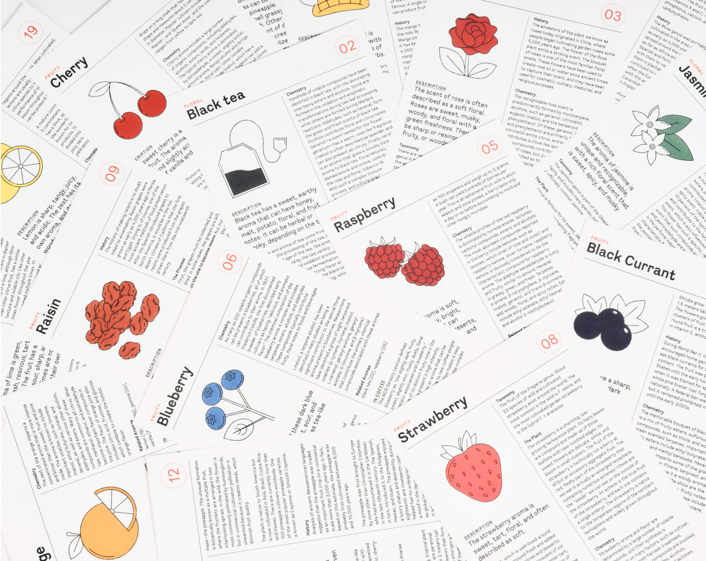 La Nariz del café 2.0, 60 aromas