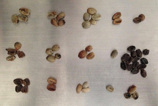 Curso de tostión, catación y preparación para aficionados. Dos sábados de 9 a 1pm.