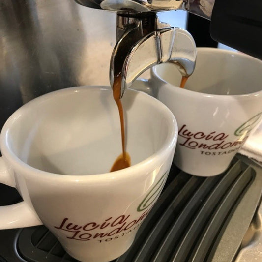 Cafés filtrados y nociones de espresso. tres horas